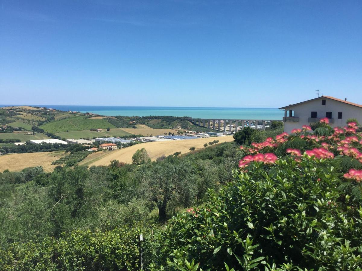 Ellebi B&B Montone  Zewnętrze zdjęcie