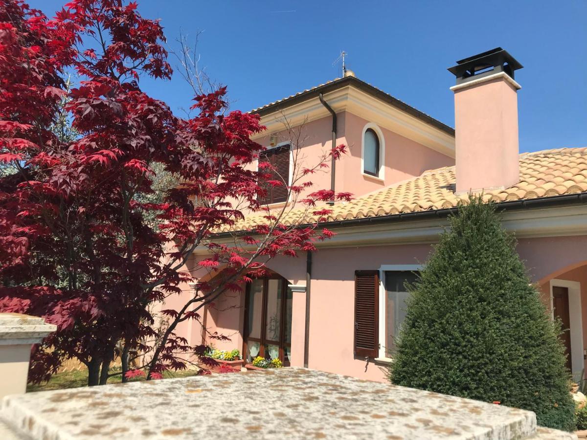 Ellebi B&B Montone  Zewnętrze zdjęcie